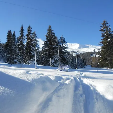 Fadail Seura 21 Apartment Lenzerheide